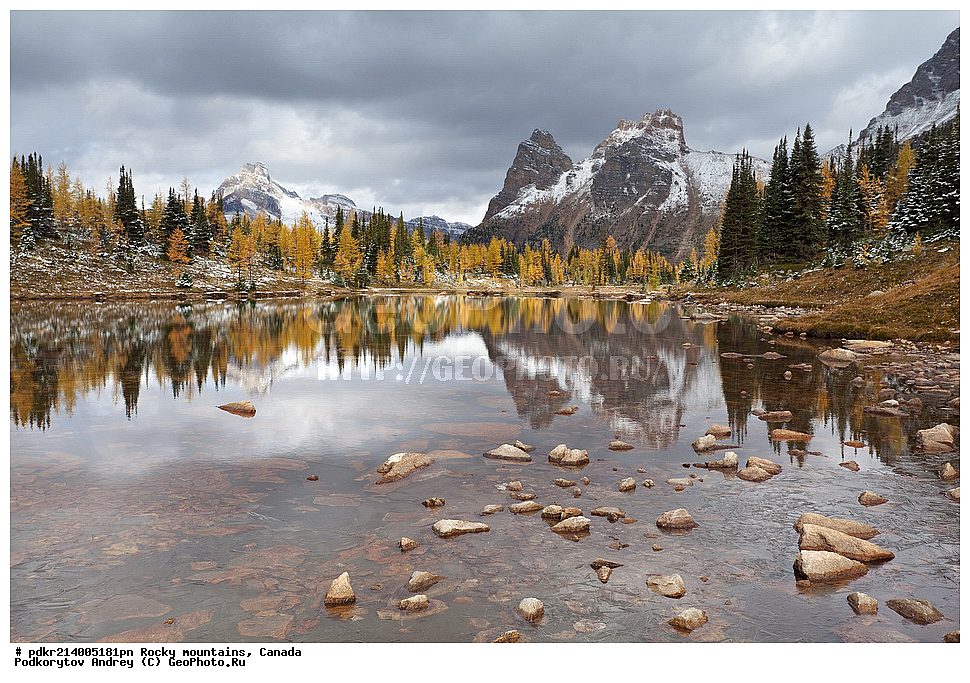 ��������� ����, ������, �������, ������������ ����, ���������, ���������, �����, ��������, ���������� ��������, ��������� ���������� ��������,, ������������ ���� ����, ����, ����� �������