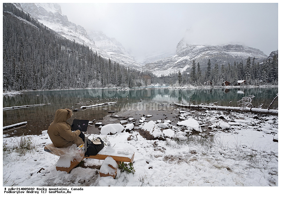 ��������� ����, ������, �������, ������������ ����, ���������, ���������, �����, ��������, ���������� ��������, ��������� ���������� ��������,, ������������ ���� ����, ����, ����� �����, �����