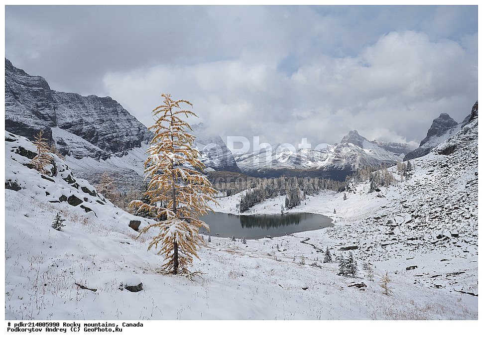 ��������� ����, ������, �������, ������������ ����, ���������, ���������, �����, ��������, ���������� ��������, ��������� ���������� ��������,, ������������ ���� ����, ����, ����� �������