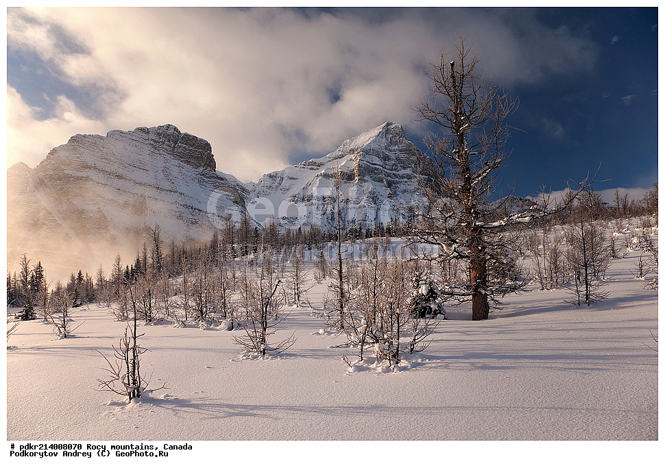  ��������� ����, ������, �������, ������������ ����, ���������, ���������, ����, ������, ��������, ��������� ��������, ������������ ���� ����, �����, ����