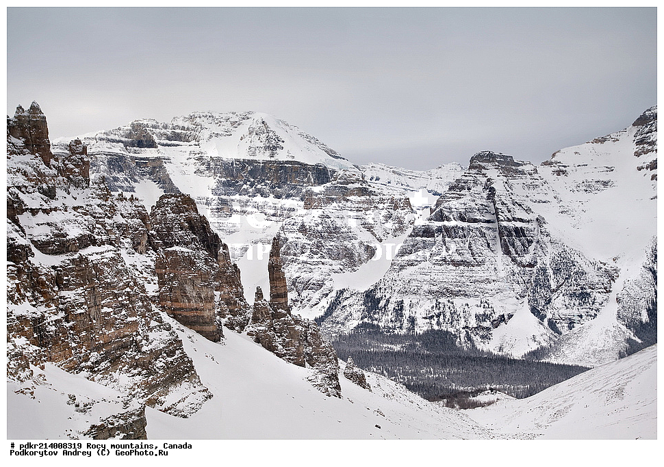  ��������� ����, ������, �������, ������������ ����, ���������, ���������, ����, ������, ��������, ��������� ��������, ������������ ���� ����, �����, ����, ������� ��������