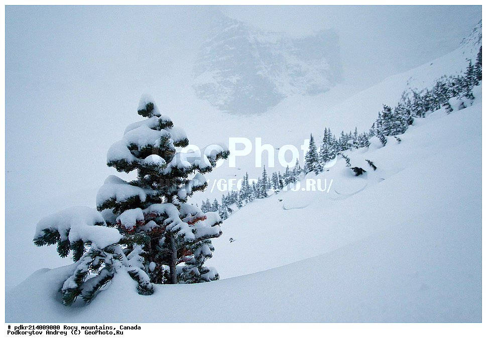  ��������� ����, ������, �������, ������������ ����, ���������, ���������, ����, ������, ��������, ��������� ��������, ������������ ���� ����, �����, ����