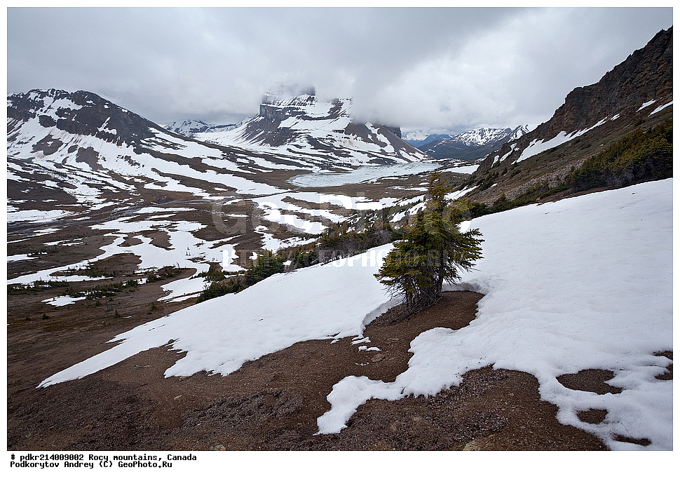 ��������� ����, ������, �������, ������������ ����, ���������, ���������, ����, ����, ��������, ��������� ��������, ������������ ���� ����, �����, ����