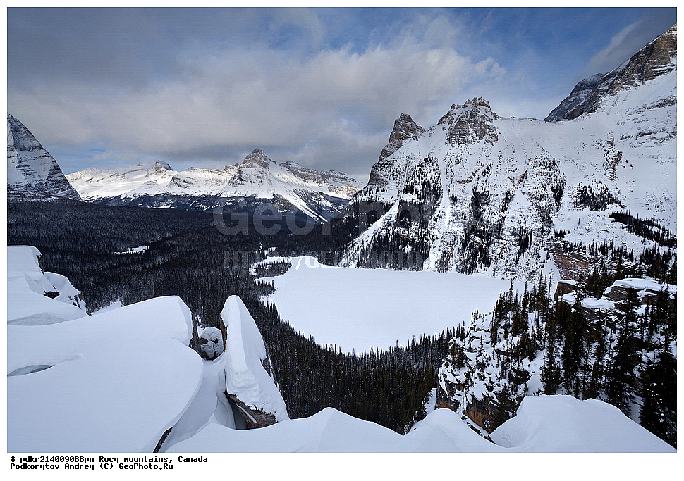  ��������� ����, ������, �������, ������������ ����, ���������, ���������, ����, ������, ���������� ��������, ��������� ���������� ��������, , ������������ ���� ����, ����, ����� �����, �����