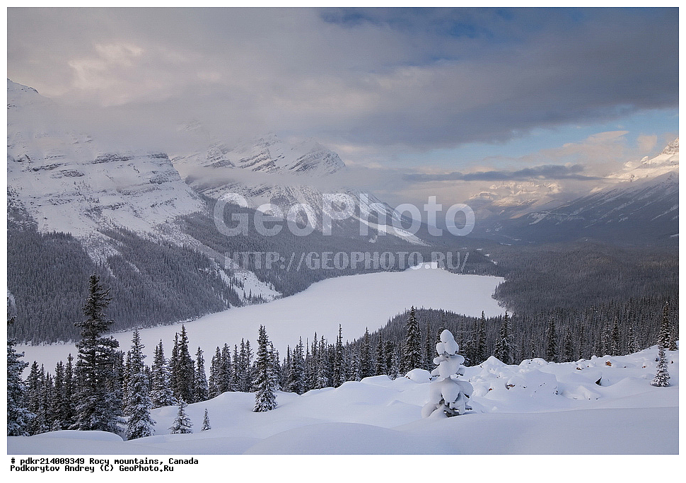  ��������� ����, ������, �������, ������������ ����, ���������, ���������, ����, ������, ��������, ��������� ��������, ������������ ���� ����, �����, ����, ����� �����, �����