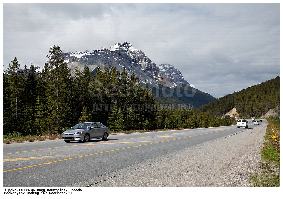 ��������� ����, ������, �������, ������������ ����, ���������, ���������, ����, ����, ��������, ��������� ��������, ������������ ���� ����, �����, ����