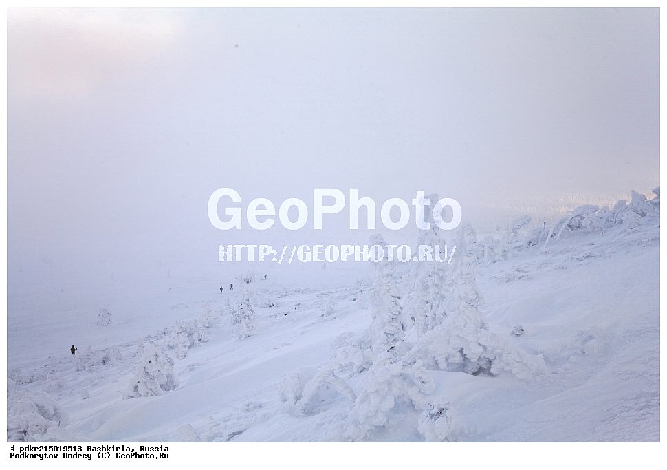 ������, �������, ��������� ����, �������, ������, ���������� ������������, ��������, ����� ����, ������