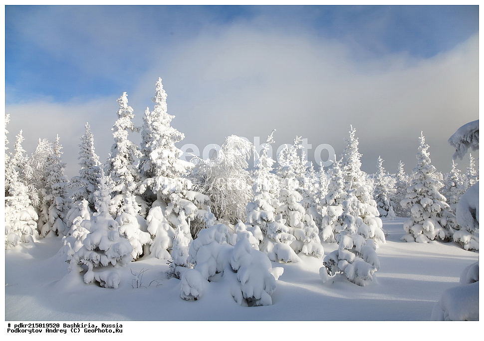 ������, �������, ��������� ����, �������, ������, ���������� ������������, ��������, ����� ����, ������