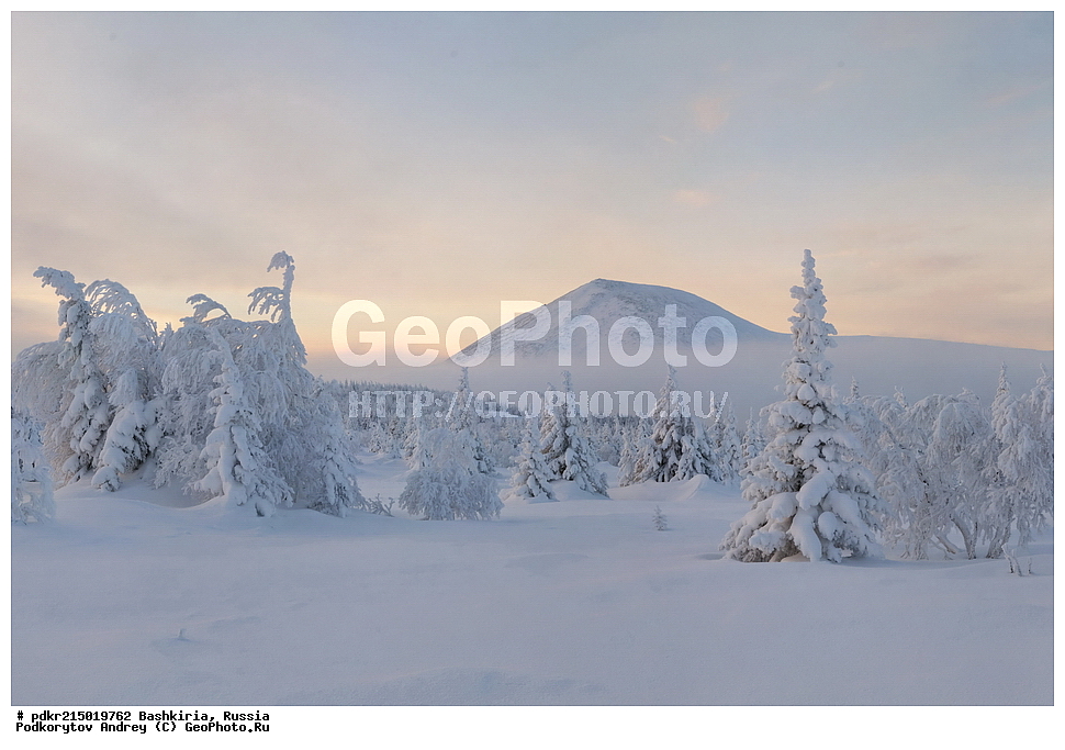 ������, �������, ��������� ����, �������, ������, ���������� ������������, ��������, ����� ����, ������