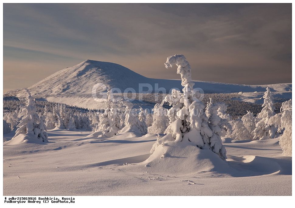 ������, �������, ��������� ����, �������, ������, ���������� ������������, ��������, ����� ����, ������