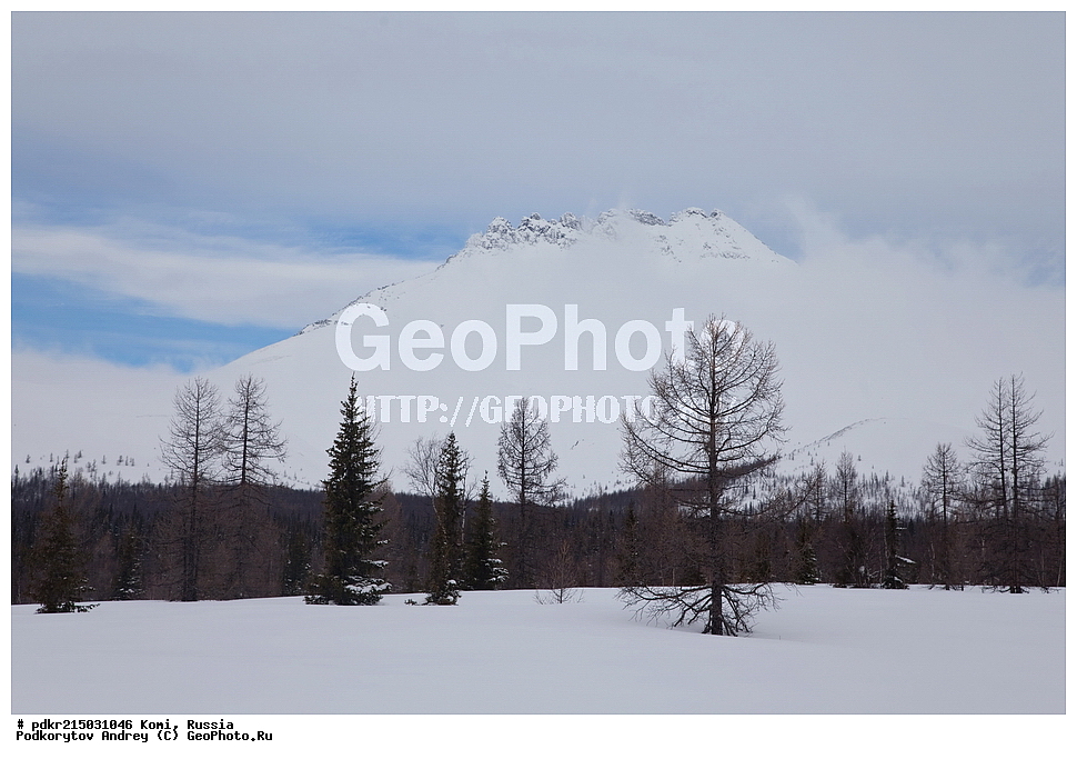 �����, �������, ��������, ���������� ����, ������������ ����, ���� ��, �������� ����, ����������� ����, ������, ����