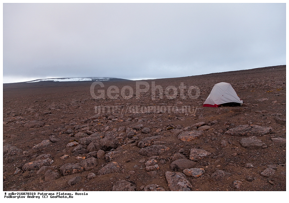 ������ ���������������, ������������ ��������� ����� �� �����, ������������ ����, ����� ��������, �����, ��������, ��������, ����������� ����������, ����������� ��������������� ��������� ����������, ��������������� �����������, ���������, ����������, ������, �������,