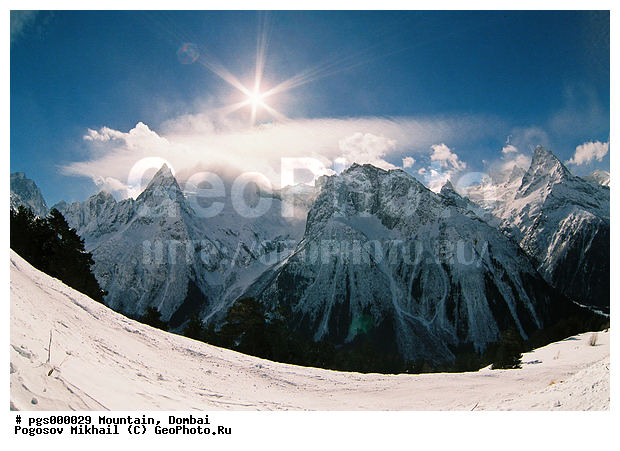 ������, ������, ������, ���������, �������, ����, ��������, ����, ����������, ����, ��������, ����, ������, ����, ��, �����������, ����, �����������, ���. �����������, ����, ������, ������, ���, ������, ����