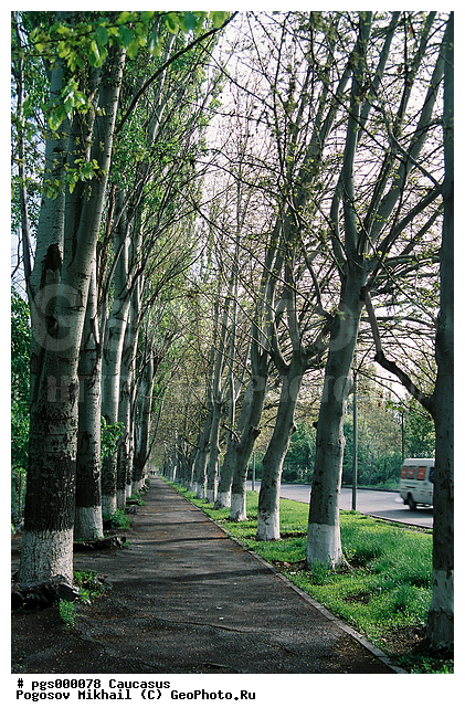 �������, ������, ������, ����������, �����. ��������, �����, ������, ������, ������, ��������, ����, ������, ��������, �������, ������, �����