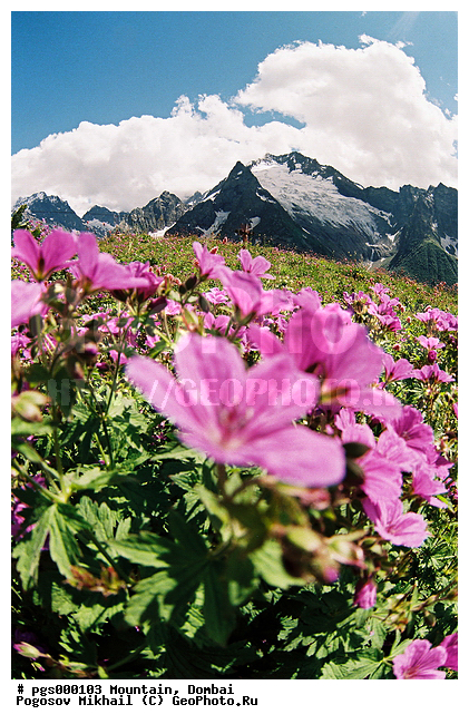 ������, ������, ������, ���������, �������, ����, ��������, �������, ����, ����������, ������, ����, ��������, ����, ������, ����, ��, �����������, ����, ������, ���������, �����������, ���. �����������, ����, ������, ������, ���, ������, �����, ����