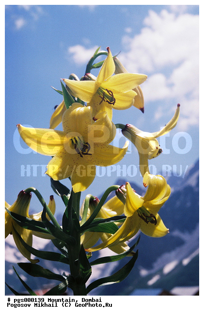 ������, ������, ���������, �������, ������, ����, �����������, �����, �����, ���, ������, ����, ����, ������, ���, ��������, �����, ����, ���������, ������, ������, �����