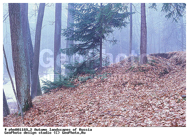 �����, ������, ������� ����, ������, ������