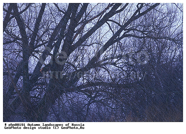 �����, ������, ������� ����, ������, ������