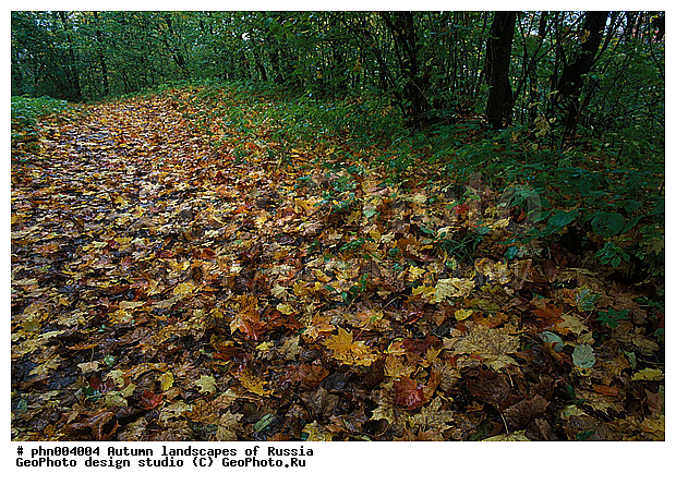 �����, ������, ������� ����, ������, ������