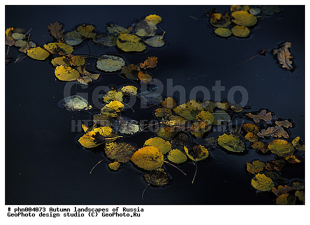 �����, ������, ������� ����, ������, ������