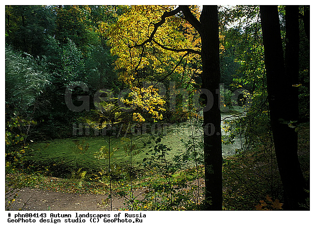 �����, ������, ������� ����, ������, ������