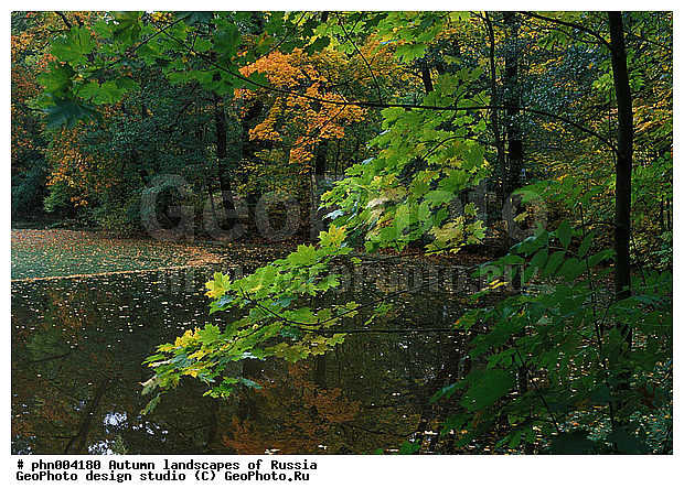 �����, ������, ������� ����, ������, ������