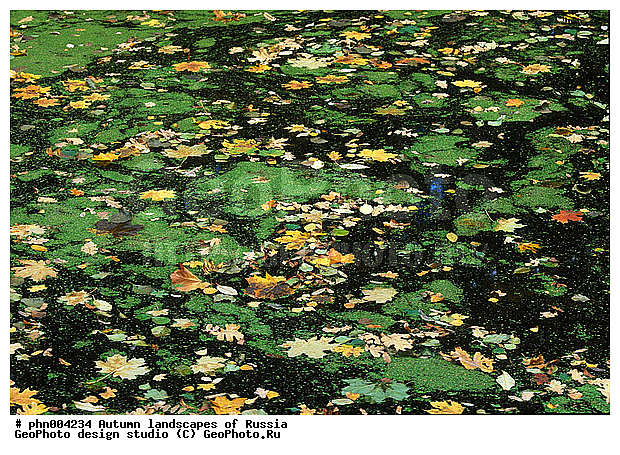 �����, ������, ������� ����, ������, ������