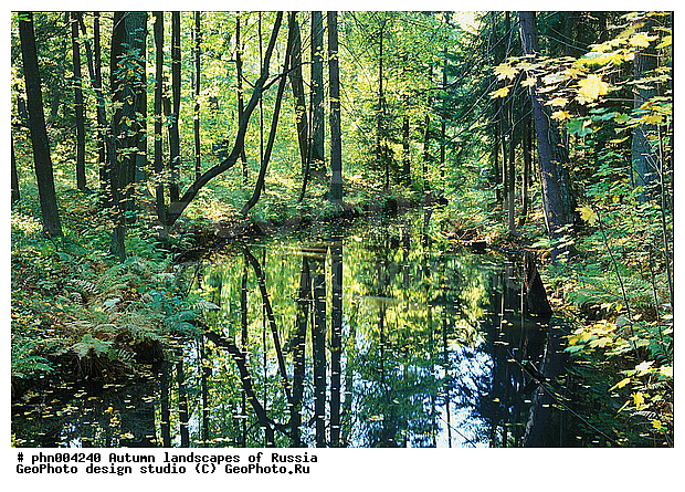 �����, ������, ������� ����, ������, ������