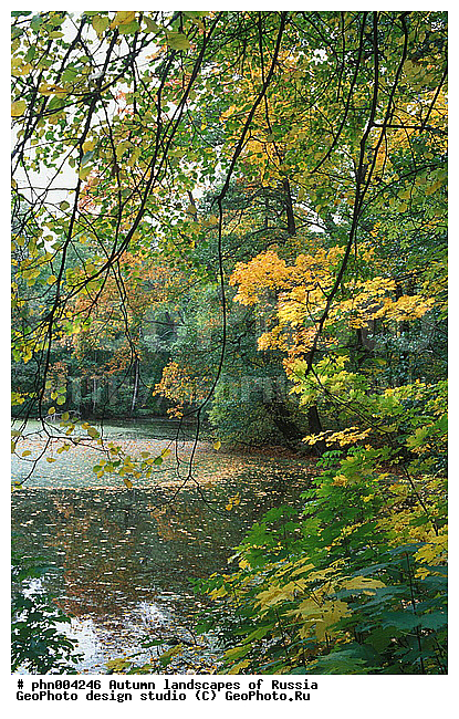 �����, ������, ������� ����, ������, ������