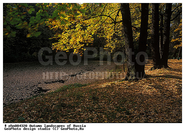 �����, ������, ������� ����, ������, ������