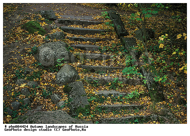 �����, ������, ������� ����, ������, ������