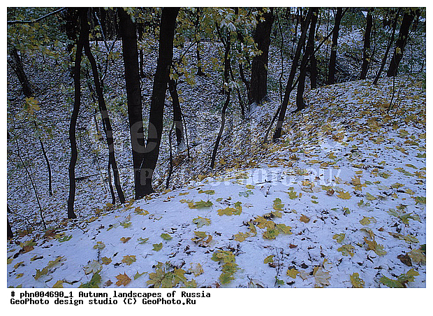 �����, ������, ������� ����, ������, ������