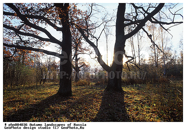 �����, ������, ������� ����, ������, ������