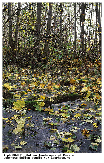 �����, ������, ������� ����, ������, ������