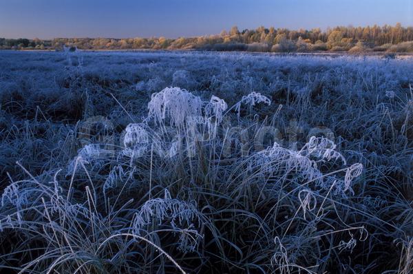 ��������, ������, ����, �����������, �������, ����, ����������, ������, ���, �����, ����, ����, �������