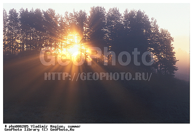 ������������ �������, ����, ������