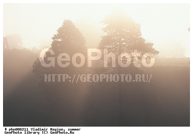 ������������ �������, ����, ������