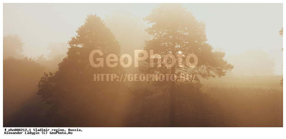 ������� ������ ������, ������������ �������, ������, ��������, �����, ����