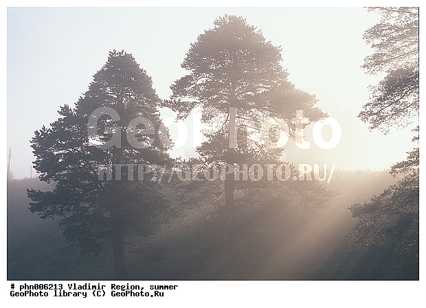 ������������ �������, ����, ������