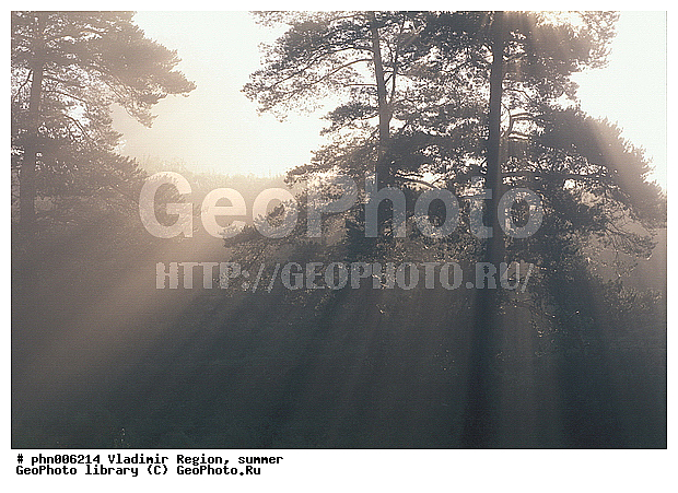 ������������ �������, ����, ������