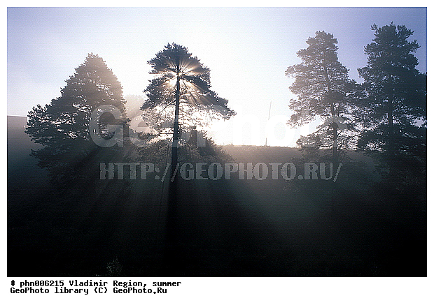 ������������ �������, ����, ������