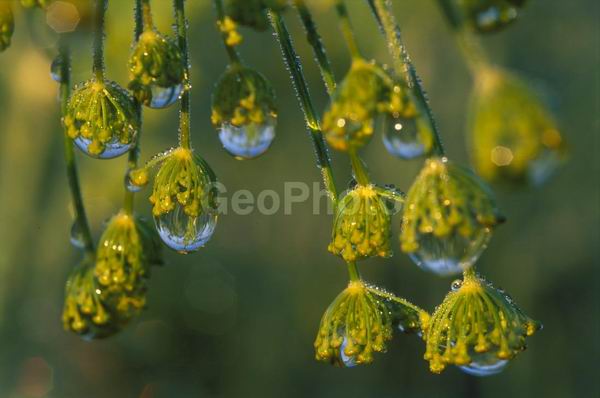 �����, �������, ��������, ����, ��������, ���������, �������������, ��������, ��������, �����, �����, �������������, ��������������, �������������, ��������������