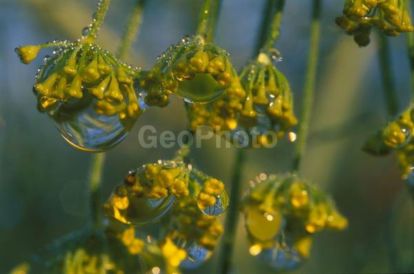 �����, �������, ��������, ����, ��������, ���������, �������������, ��������, ��������, �����, �����, �������������, ��������������, �������������, ��������������