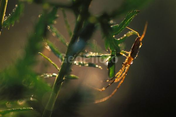 �����, �������, ��������, ����, ��������, ���������, �������������, ��������, ��������, �����, �����, �������������, ��������������, �������������, ��������������