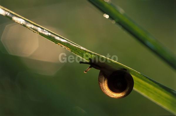 �����, �������, ��������, ����, ��������, ���������, �������������, ��������, ��������, �����, �����, �������������, ��������������, �������������, ��������������