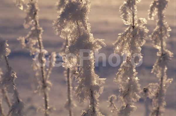 �����, �������, ��������, ����, ��������, ���������, �������������, ��������, ��������, �����, �����, �������������, ��������������, �������������, ��������������