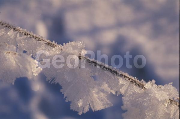 �����, �������, ��������, ����, ��������, ���������, �������������, ��������, ��������, �����, �����, �������������, ��������������, �������������, ��������������