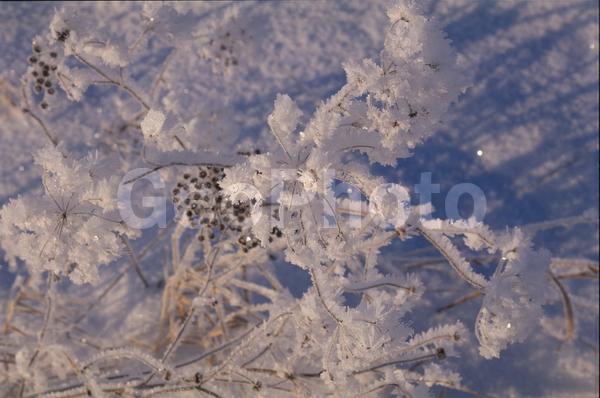 �����, �������, ��������, ����, ��������, ���������, �������������, ��������, ��������, �����, �����, �������������, ��������������, �������������, ��������������