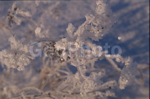 �����, �������, ��������, ����, ��������, ���������, �������������, ��������, ��������, �����, �����, �������������, ��������������, �������������, ��������������