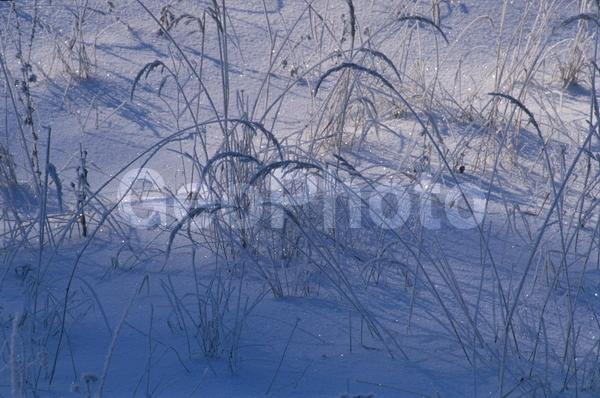 �����, �������, ��������, ����, ��������, ���������, �������������, ��������, ��������, �����, �����, �������������, ��������������, �������������, ��������������